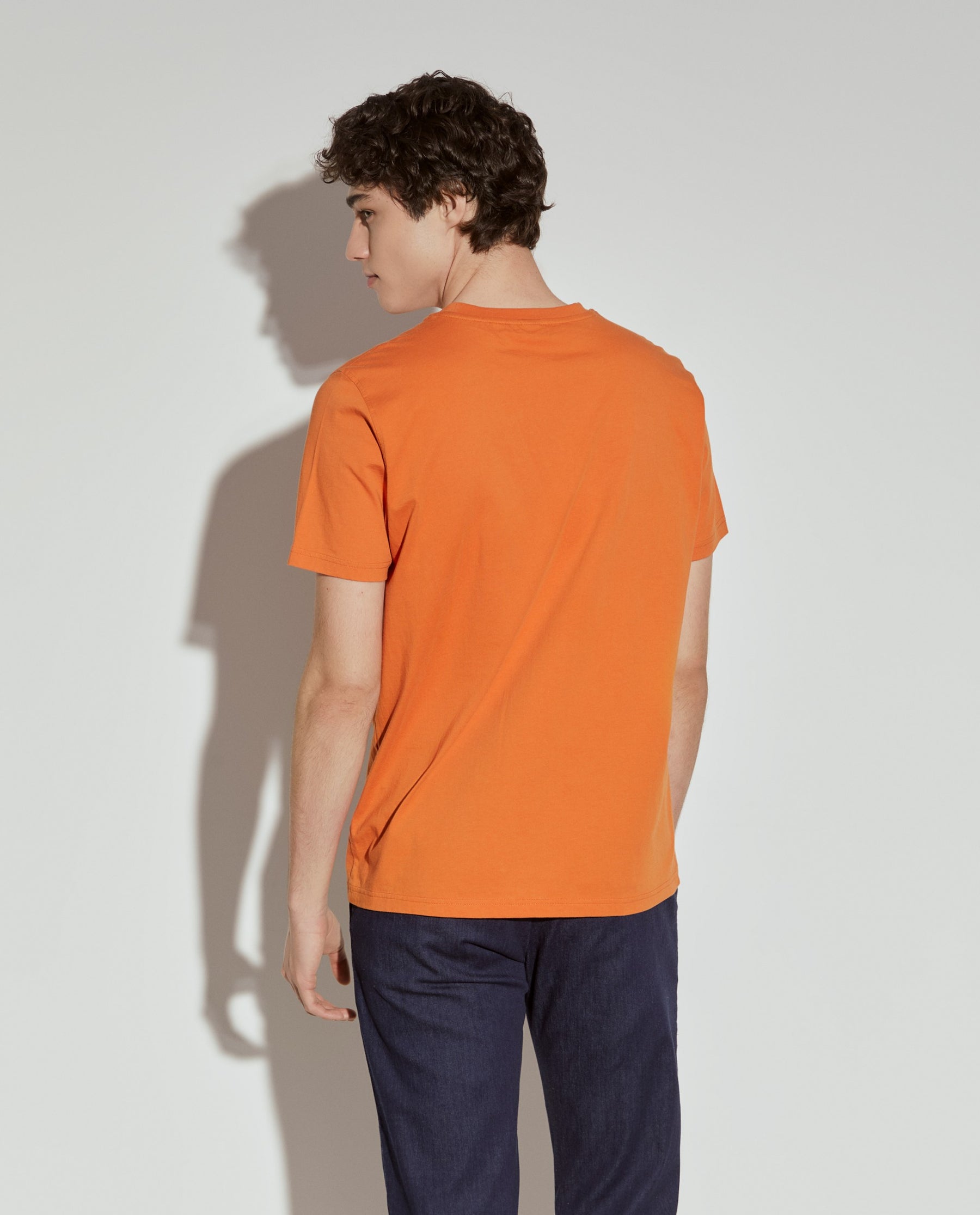 T-shirt manga curta Lion of Porches